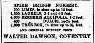 Dawson_Nursery_Ad.jpg