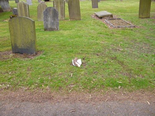 Eccles_grave_spot.jpg